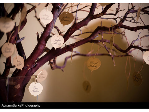 Aspen Escort Card