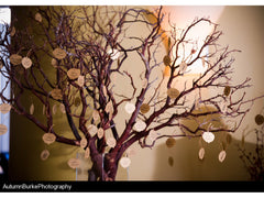 Aspen Escort Card