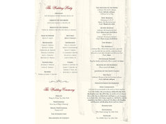 Copenhagen Program