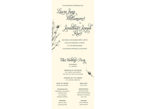 New Hampshire Program