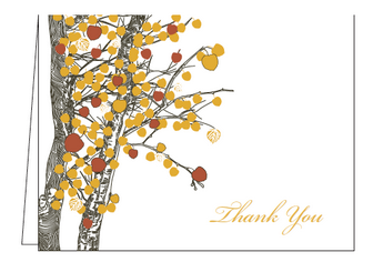 Aspen Thank You Notes